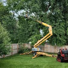 Trusted Bokeelia, FL Tree Removal and Landscaping Services Experts